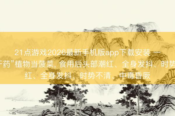 21点游戏2026最新手机版app下载安装 一家三口误把“蒙汗药”植物当菠菜， 食用后头部潮红、全身发抖、时势不清、中毒昏厥