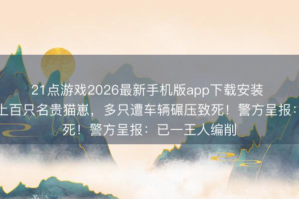 21点游戏2026最新手机版app下载安装 沈阳路边惊现上百只名贵猫崽，多只遭车辆碾压致死！警方呈报：已一王人编削
