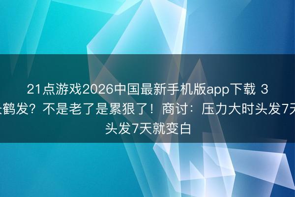 21点游戏2026中国最新手机版app下载 30岁就长鹤发？不是老了是累狠了！商讨：压力大时头发7天就变白